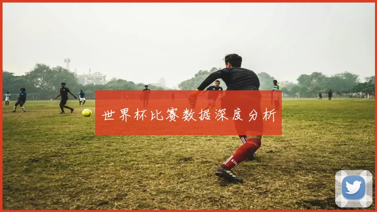 世界杯比赛数据深度分析